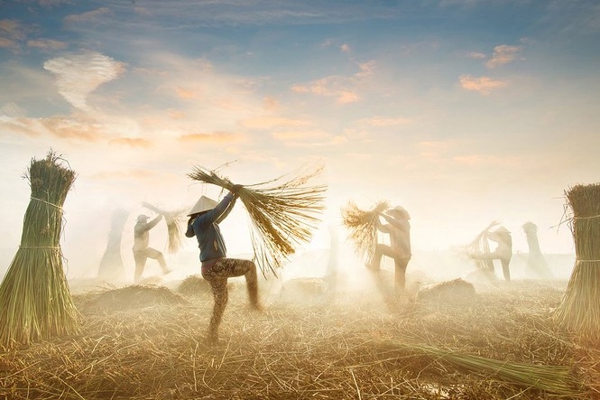 Local photographers make Top 50 of Agora photo contest